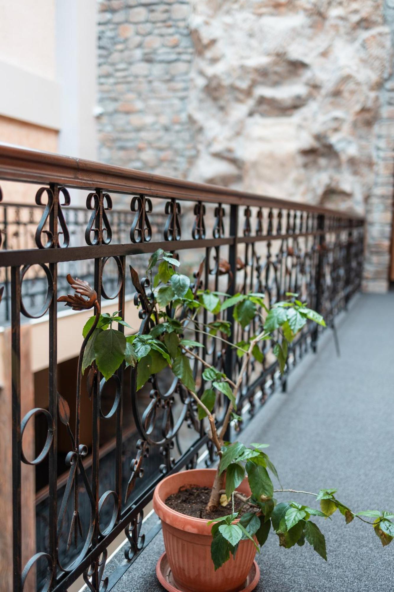 Hotel Neptun Vidin Exterior photo